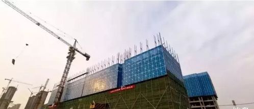 疫后蓝图 中国房地产行业十大趋势解读——普通人买房需要了解的关键变化